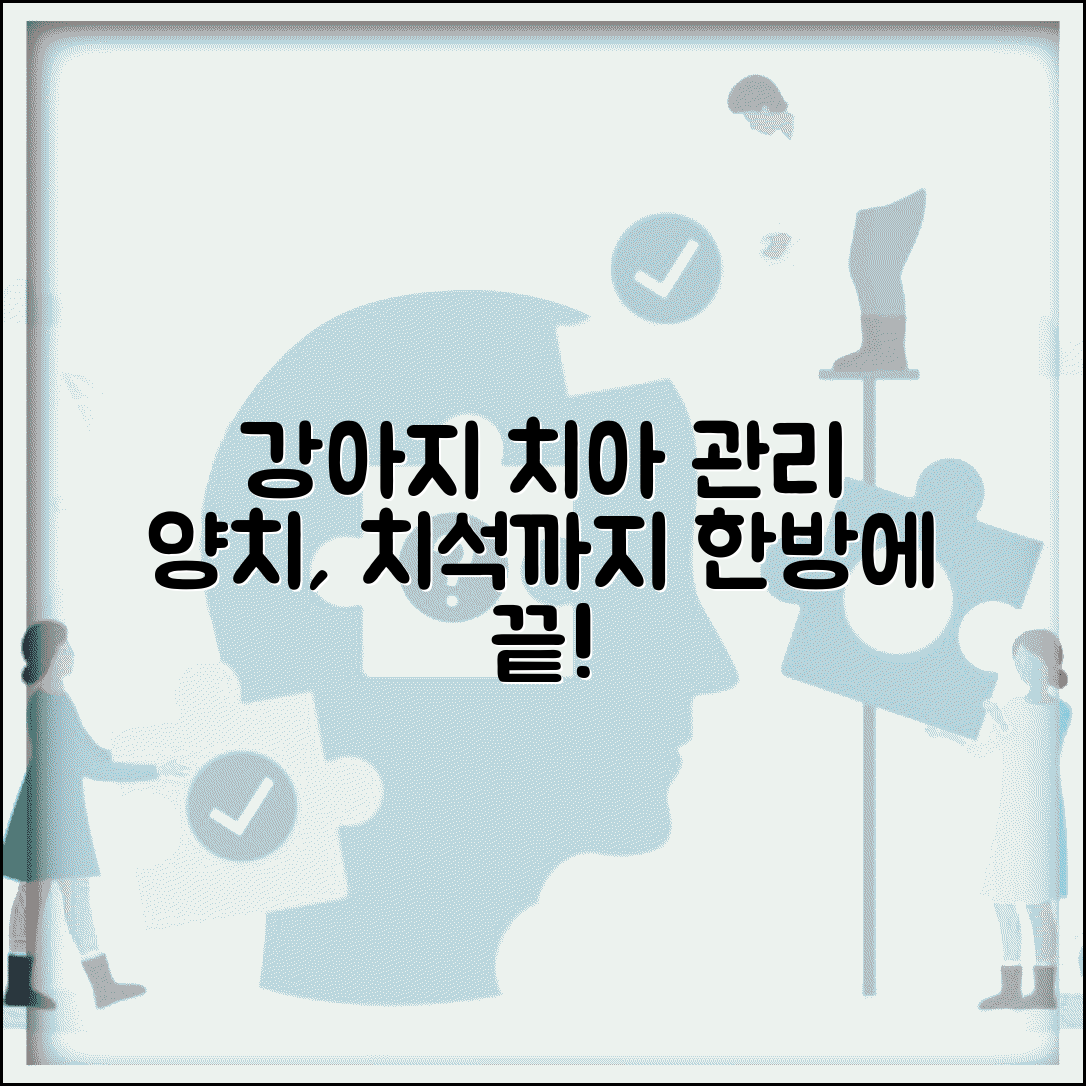 강아지 치아 관리 어떻게 해야 하나요 | 강아지 양치 | 치석 | 구강관리
