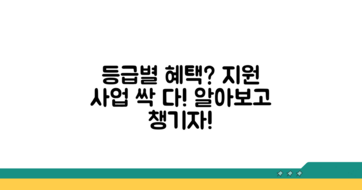 등급별 혜택과 지원 사업