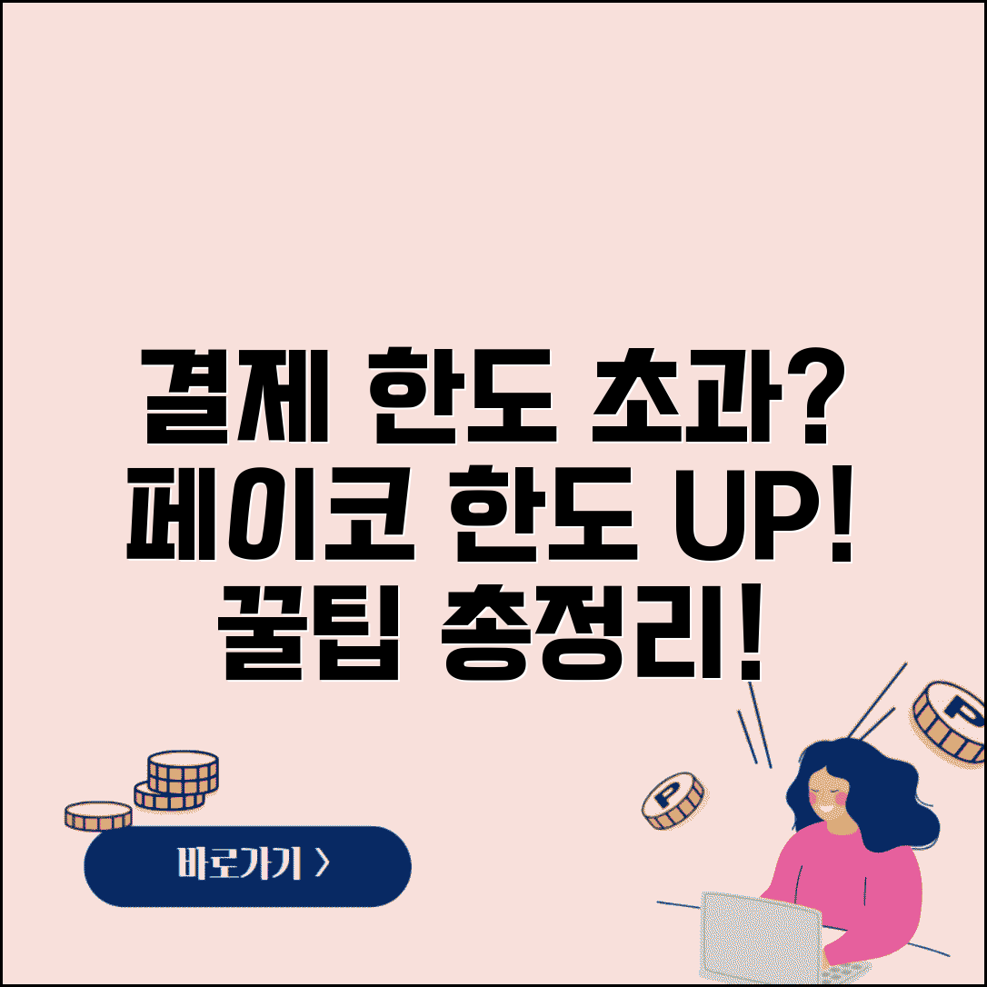 페이코 결제 한도 초과 시 해결 방법 | 페이코 월 결제 한도 늘리기 팁 총정리