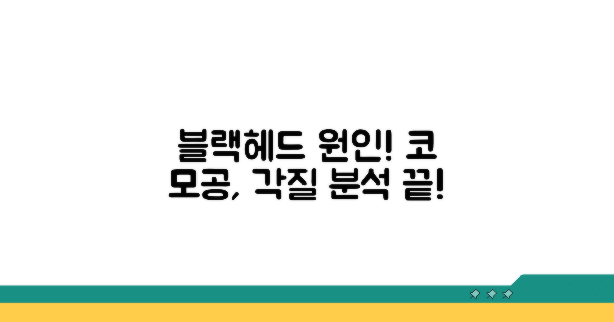 블랙헤드 원인, 코 모공 각질 분석