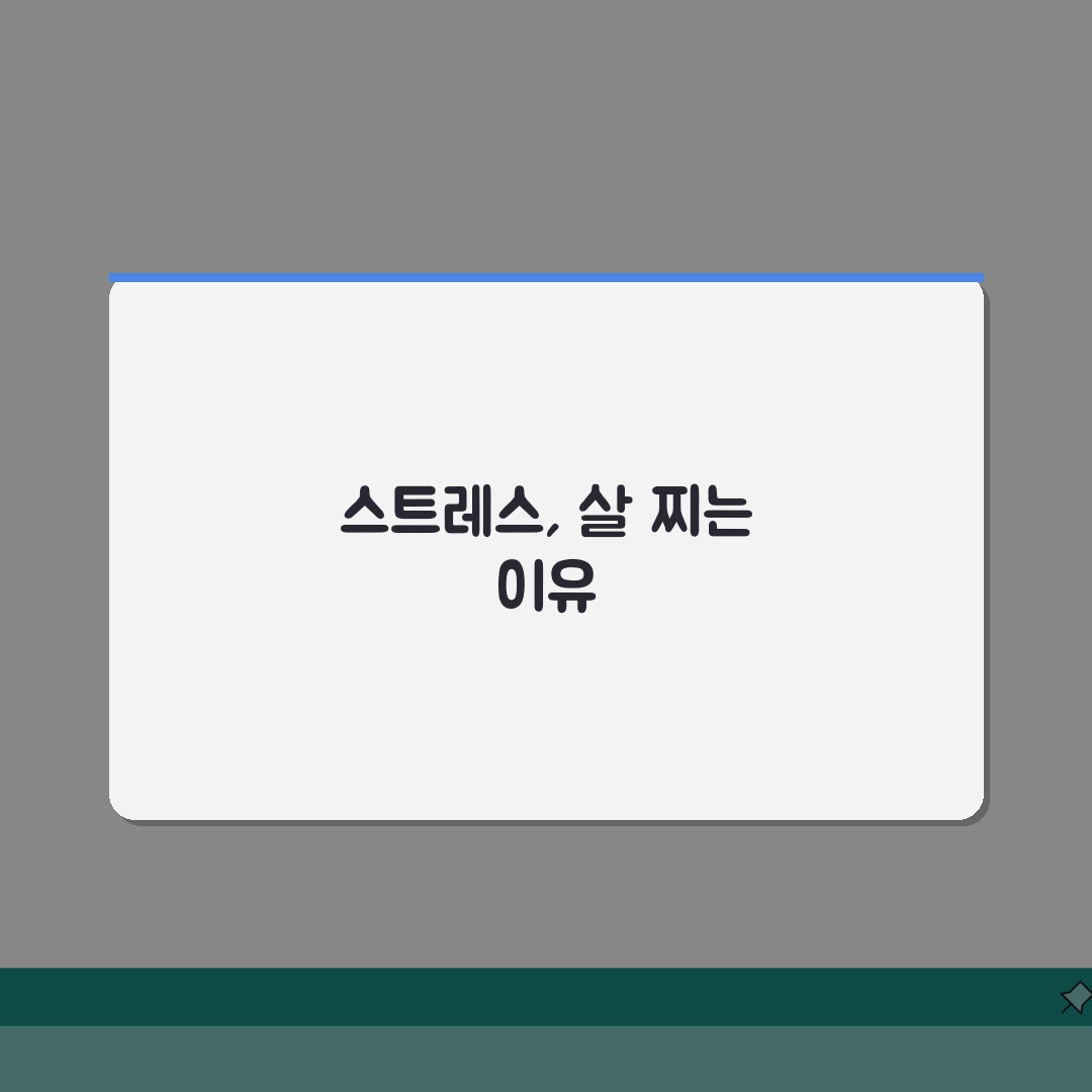 살 찌는게 스트레스 때문인가요 | 스트레스 비만 | 폭식 | 관리 완벽가이드: 5가지 핵심