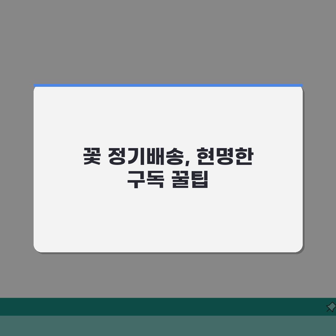 꽃 정기배송 월 요금 얼마인지 | 꽃 정기 구독료 월, 궁금증 해결!
