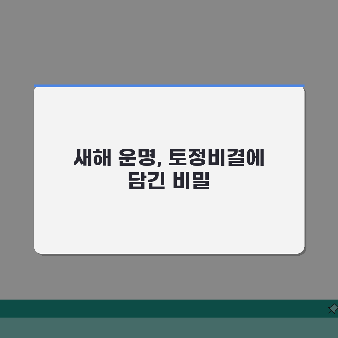토정비결 신년운세 완벽분석: 해석법, 활용팁, 주의점 총정리