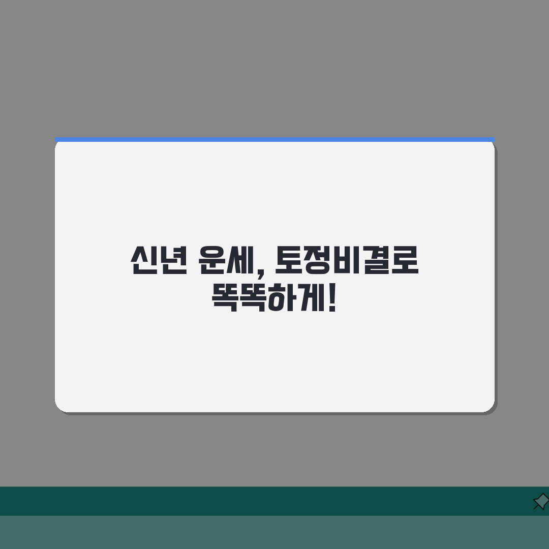 토정비결 신년운세 완벽분석: 해석법, 활용팁, 주의점 총정리